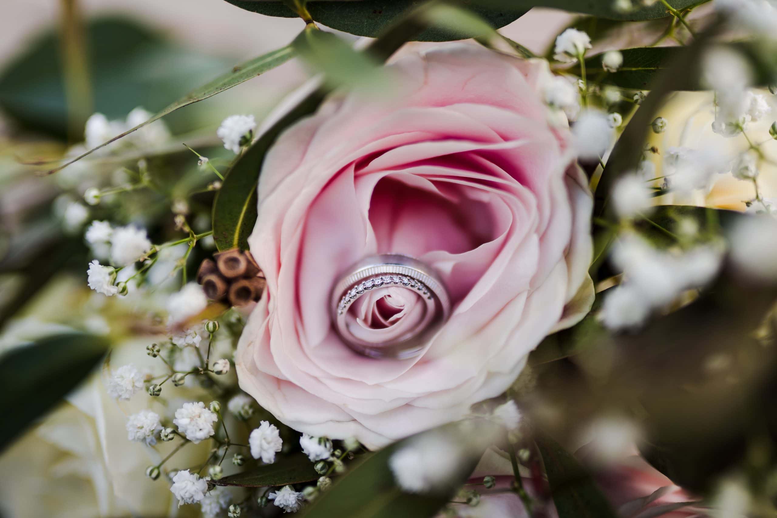 Close up of the wedding rings in flowers at the Barn at Upcote caught by Pedge Photography